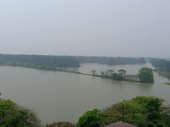 -大湾区中央湿地公园