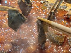 -阳阳老火锅(小南门店)