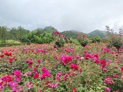 -黄陂区野村谷景区
