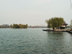 -岳姥姥饺子(泺文路店)