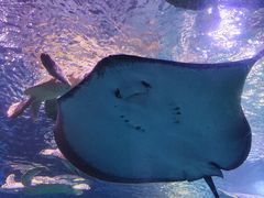 -太平洋海底世界