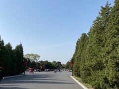-北陵公园