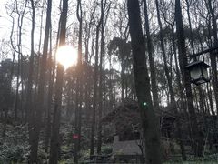 -中国茶叶博物馆(双峰馆区)