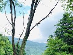 -玉华宫景区