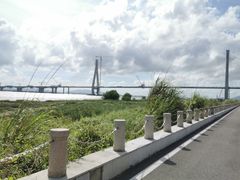 -芒洲湿地公园