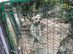 -呼吸森林·生态农庄农家乐私房菜