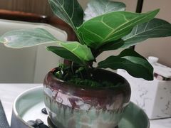 -宴昆山·私房菜(春晖店)