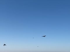 -少华山国家森林公园