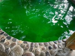 -云涛森林温泉