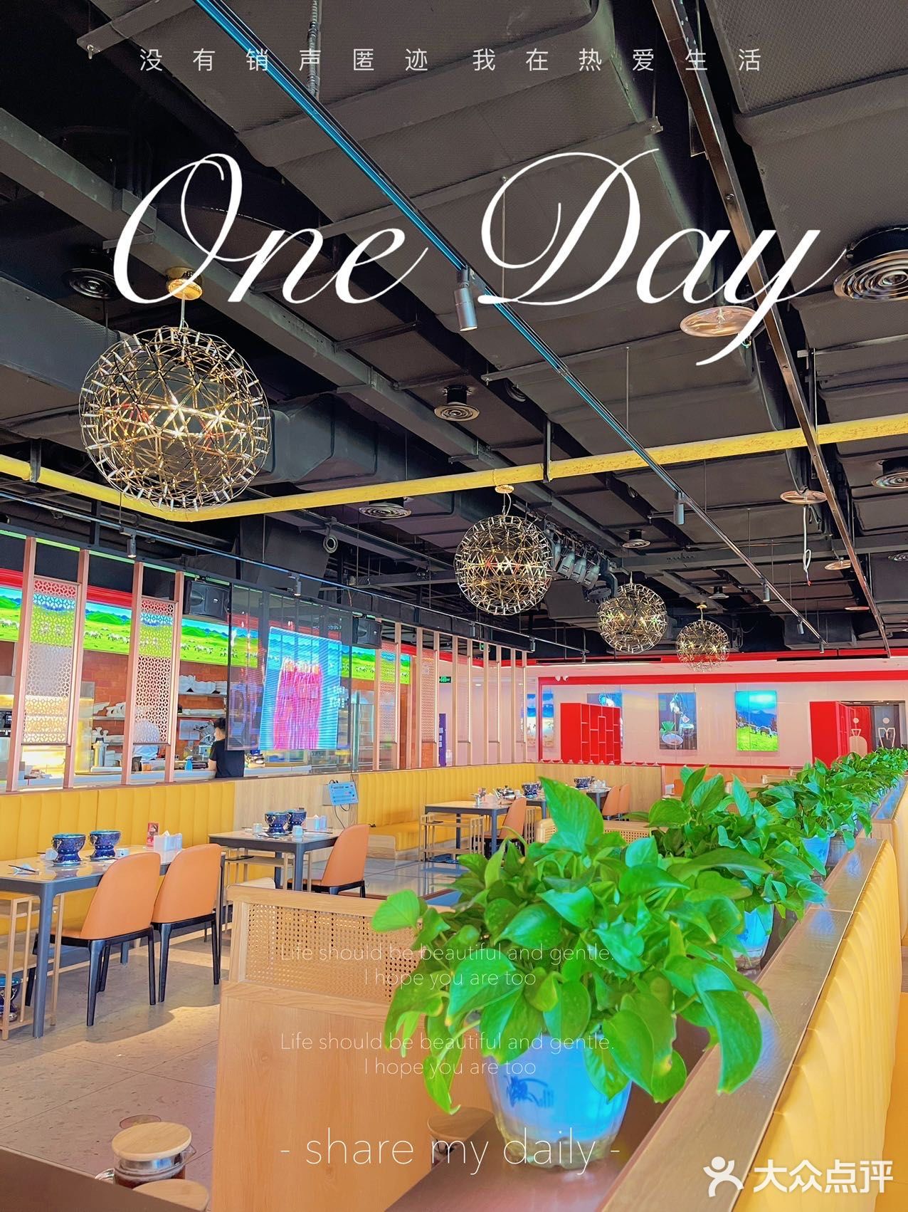 涮肉界的NO.1来啦！正宗宁夏滩羊肉就在滩羊颂