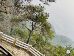 -缙云山景区