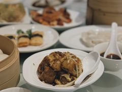 -詠春园