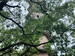 -江心屿景区