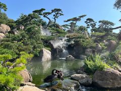 -罗红摄影艺术馆