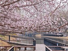 -安定门(地铁站)