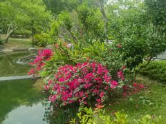 -云溪植物园