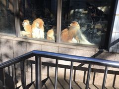 -昆明动物园
