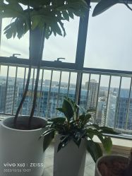 -HEYAN荷妍专业脱毛连锁机构