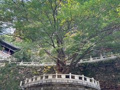 -藏山旅游风景区