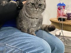 -共舞时光猫咖·狗咖(新街口店)