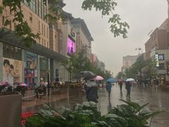 -吴记百姓菜馆·北京菜·烤鸭(故宫店)