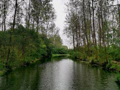 -溱湖国家湿地公园