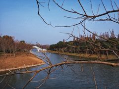 -上海海湾国家森林公园