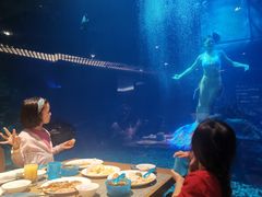 -海棠湾洲际-涛·海底餐厅·美人鱼·自助餐·海底隧道