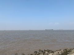 -上海滨江森林公园