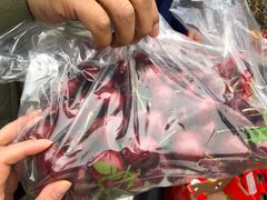 -双福水果批发市场