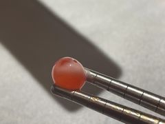 -雀舞云南菜(天津天河城购物中心店)