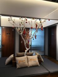 -FineYoga梵音瑜伽·普拉提