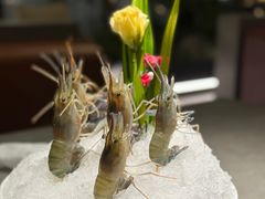 -1718海鲜姿造(苏宁宴请臻选店)