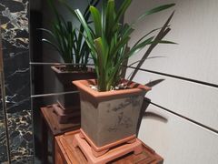 -美盛喜来登大酒店喜舍茶馆