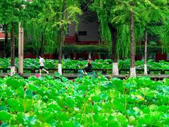 -四川大学(望江校区)