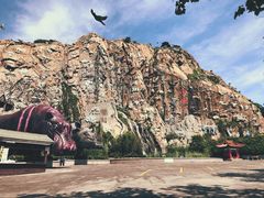 -西霞口神雕山野生动物世界