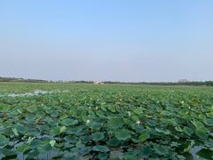 -天津东丽湖风景区
