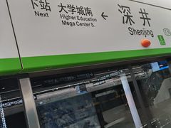 -长洲岛