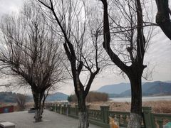 -鸣鹤古镇