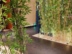 -新紫霞养生·影院足道·SPA(金山区店)