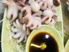 芥末白灼八爪鱼-贞姨美食·老字号海鲜大排档