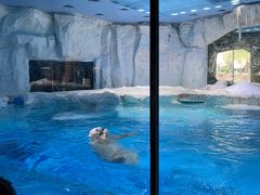 -珠海长隆海洋王国
