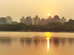 -莲花池公园