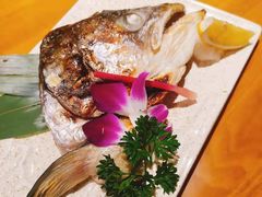-吉之仙•中国制造•出口级食材日料店(领事馆总店)