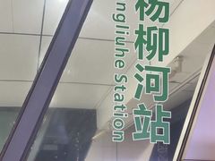 -杨柳河(地铁站)