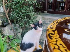 -西园戒幢律寺