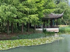 -尚贤河湿地