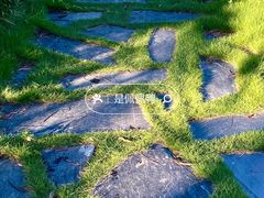 -露天矿生态公园