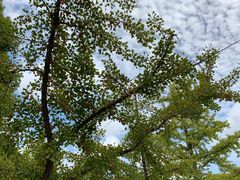 -金钉子远古世界景区