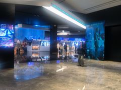 -奥斯卡升龙国际影城(RealD Cinema)